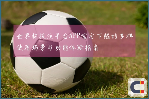 世界杯投注平台APP官方下载的多样使用场景与功能体验指南