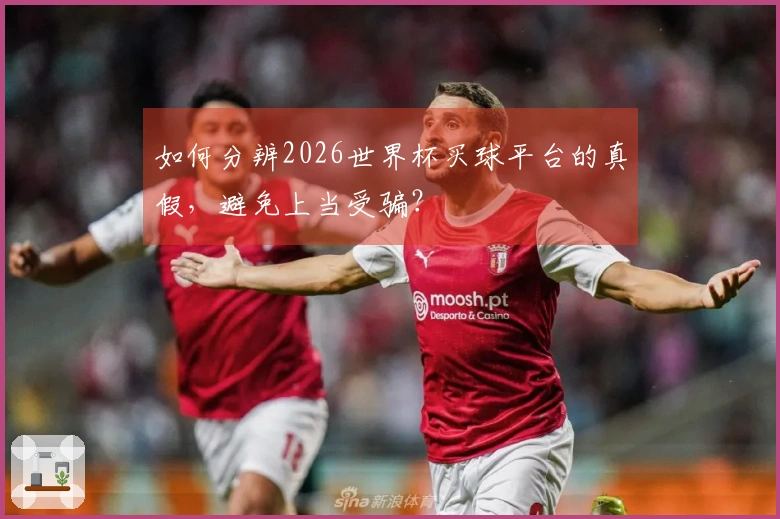 如何分辨2026世界杯买球平台的真假，避免上当受骗？