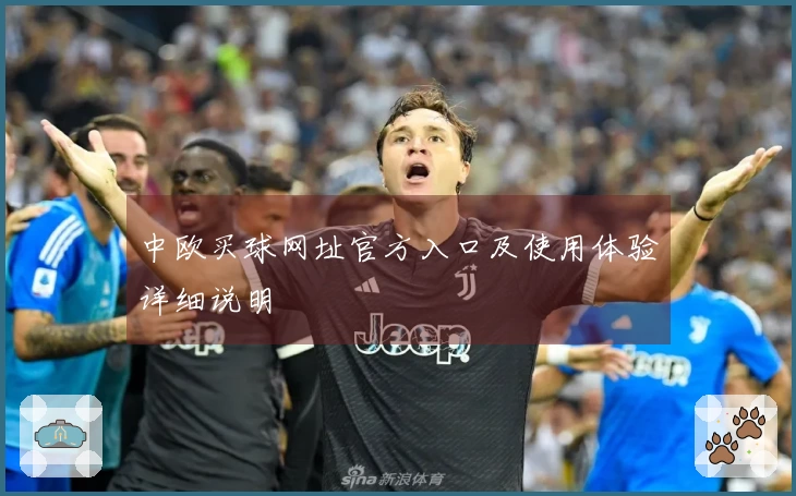 中欧买球网址官方入口及使用体验详细说明
