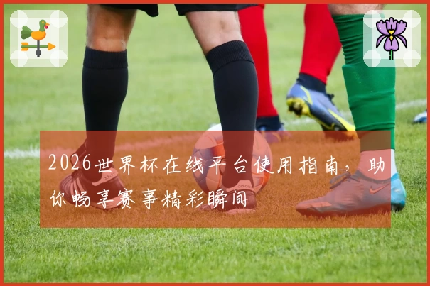 2026世界杯在线平台使用指南，助你畅享赛事精彩瞬间