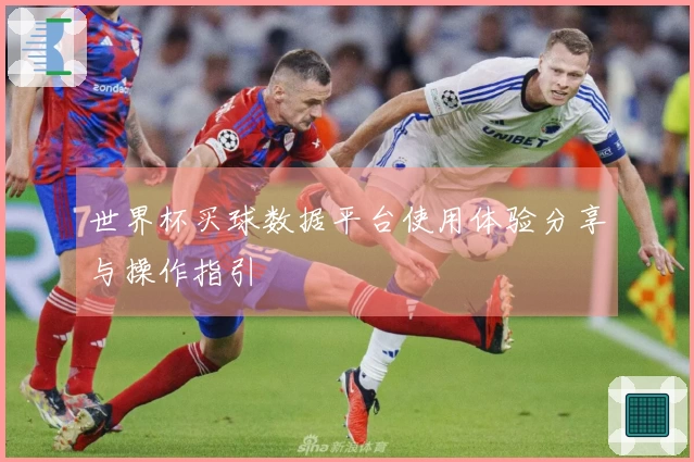 世界杯买球数据平台使用体验分享与操作指引