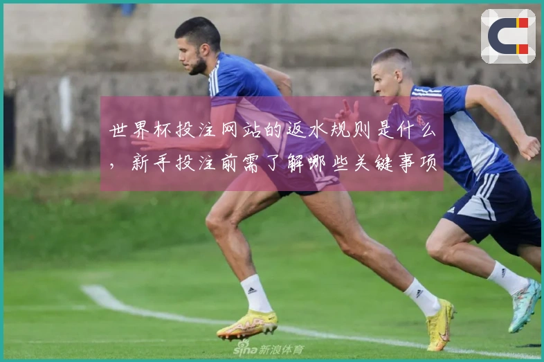 世界杯投注网站的返水规则是什么，新手投注前需了解哪些关键事项？
