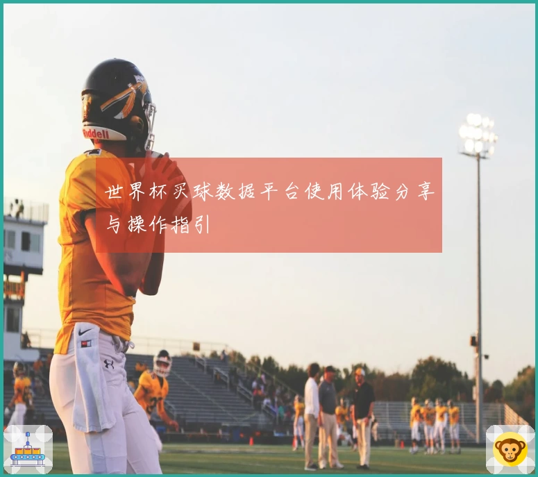 世界杯买球数据平台使用体验分享与操作指引