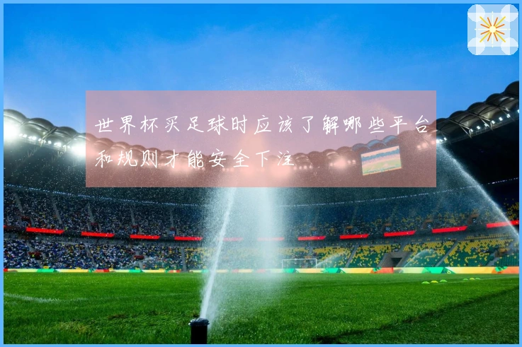 世界杯买足球时应该了解哪些平台和规则才能安全下注