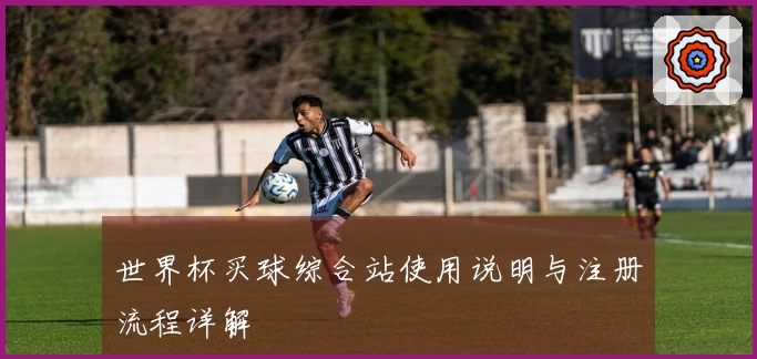 世界杯买球综合站使用说明与注册流程详解