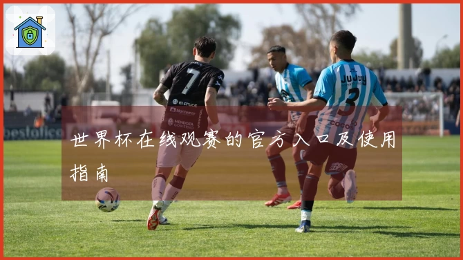 世界杯在线观赛的官方入口及使用指南