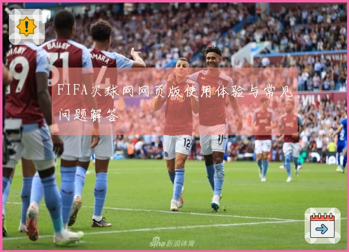 FIFA买球网网页版使用体验与常见问题解答