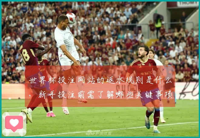 世界杯投注网站的返水规则是什么，新手投注前需了解哪些关键事项？