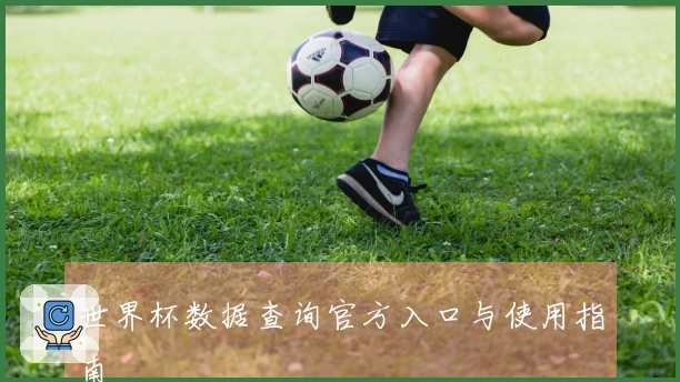 世界杯数据查询官方入口与使用指南