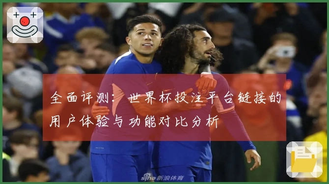 全面评测:世界杯投注平台链接的用户体验与功能对比分析