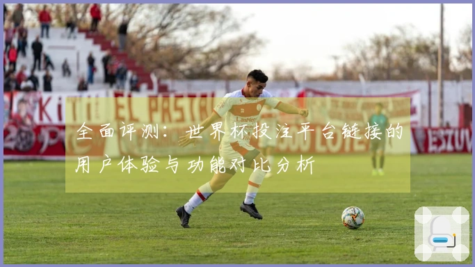 全面评测：世界杯投注平台链接的用户体验与功能对比分析