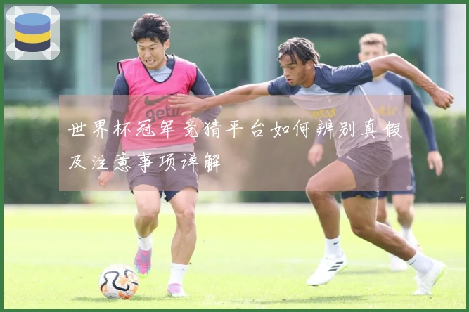 世界杯冠军竞猜平台如何辨别真假及注意事项详解