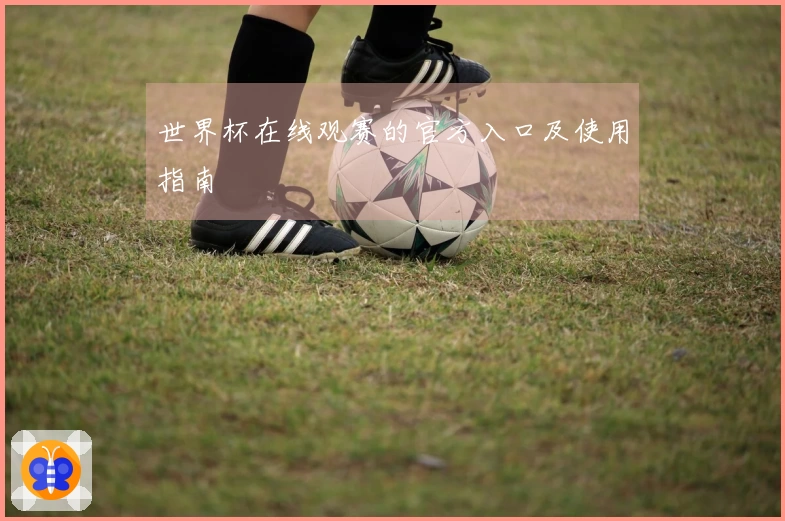 世界杯在线观赛的官方入口及使用指南
