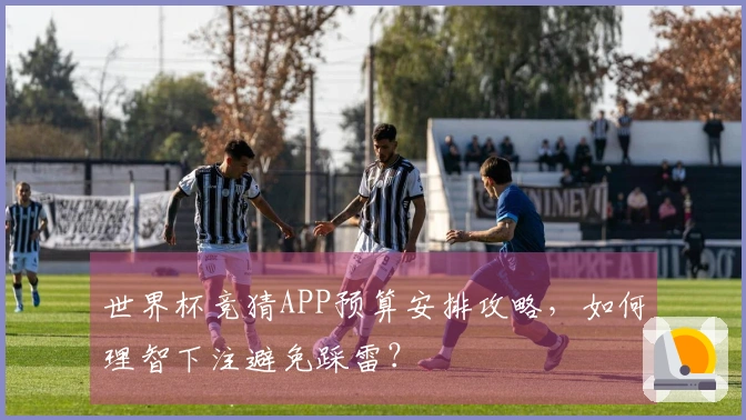 世界杯竞猜APP预算安排攻略，如何理智下注避免踩雷？