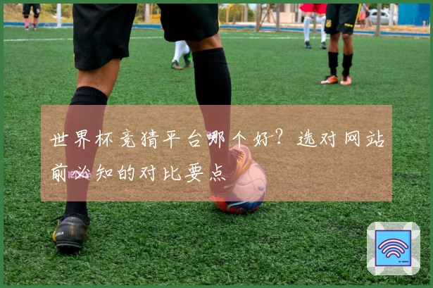 世界杯竞猜平台哪个好？选对网站前必知的对比要点