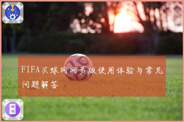 FIFA买球网网页版使用体验与常见问题解答