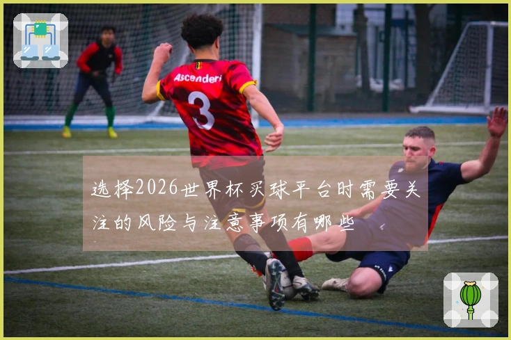 选择2026世界杯买球平台时需要关注的风险与注意事项有哪些