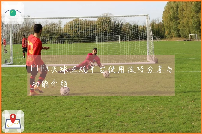 FIFA买球正规平台使用技巧分享与功能介绍