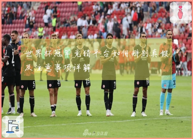 世界杯冠军竞猜平台如何辨别真假及注意事项详解
