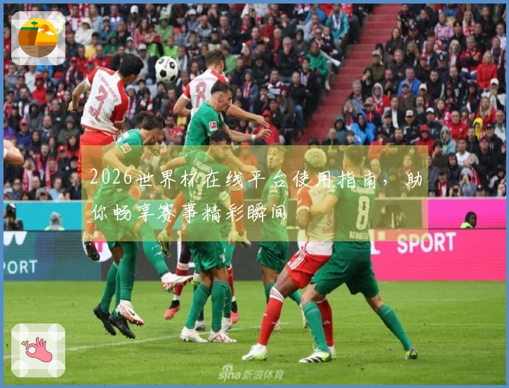 2026世界杯在线平台使用指南，助你畅享赛事精彩瞬间