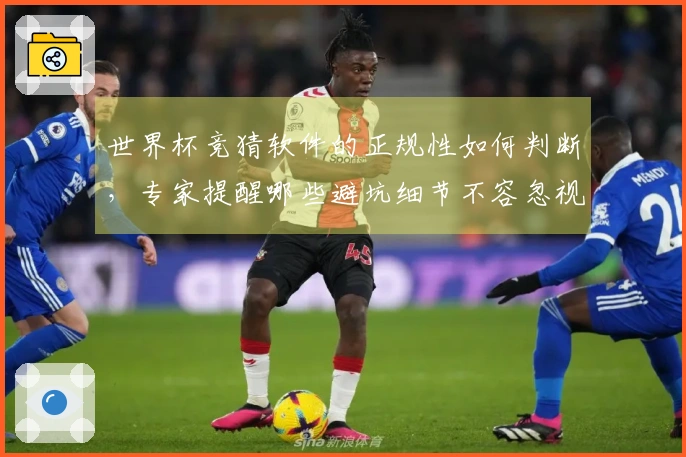 世界杯竞猜软件的正规性如何判断，专家提醒哪些避坑细节不容忽视