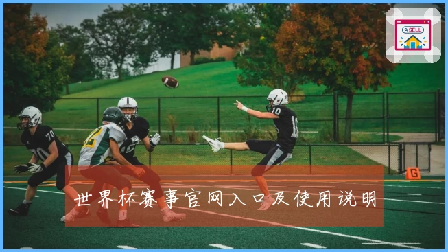 世界杯赛事官网入口及使用说明