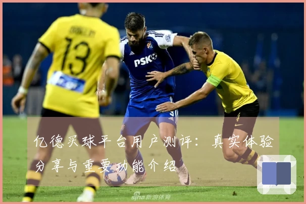 亿德买球平台用户测评：真实体验分享与重要功能介绍