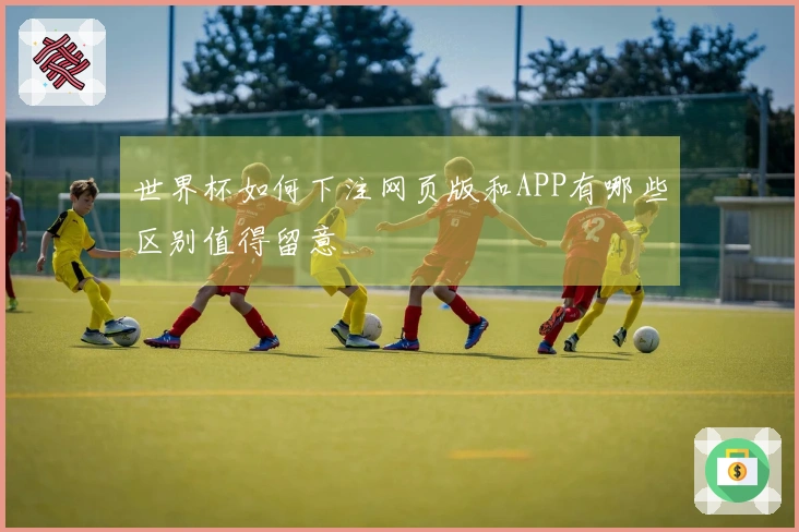 世界杯如何下注网页版和APP有哪些区别值得留意